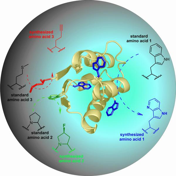 three synthetic amino acids in one protein